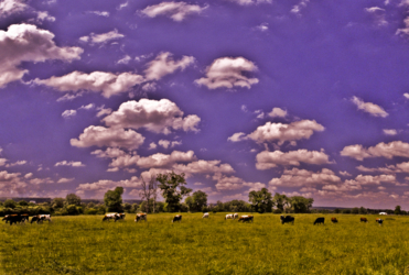Pano - _DSC1210 - 3125x2251 - SCUN - Groupe d'image
