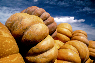 Adobe Photoshop Lightroom 5.7 (Macintosh) 3008x2000_047206